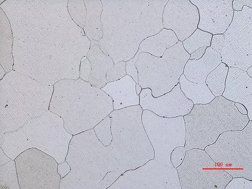 金相典型特征樣品圖譜 (一) : 鐵碳平衡組織